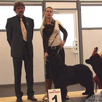 Фото: ньюфаундленд Glendzhoah Ekso (Гленджоан Эксо)