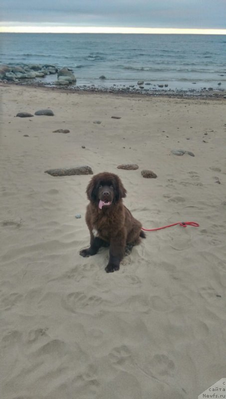 Фотография № 195288