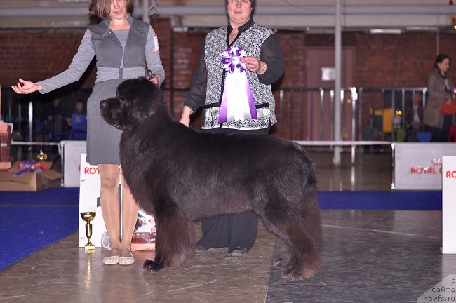 Фотография № 195301