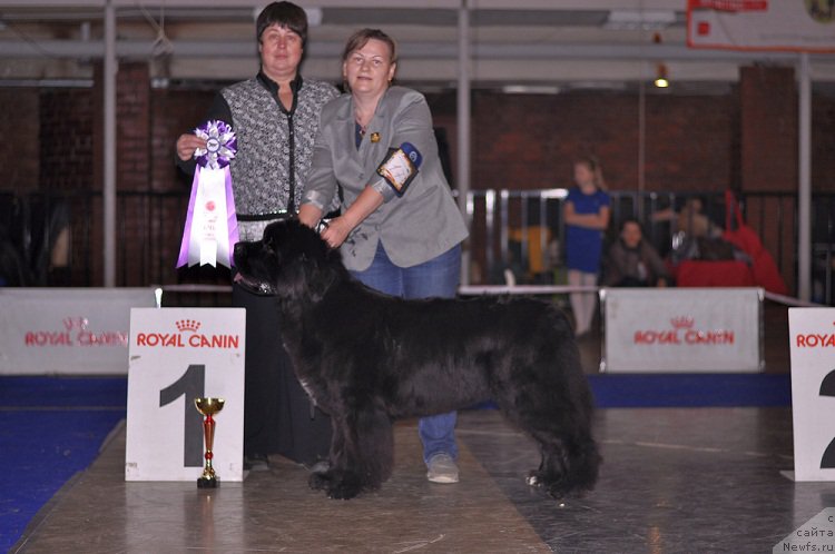 Фотография № 195302