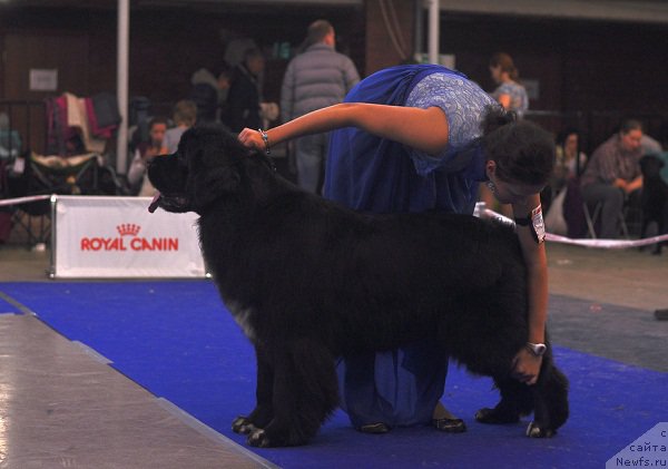 Фотография № 195303