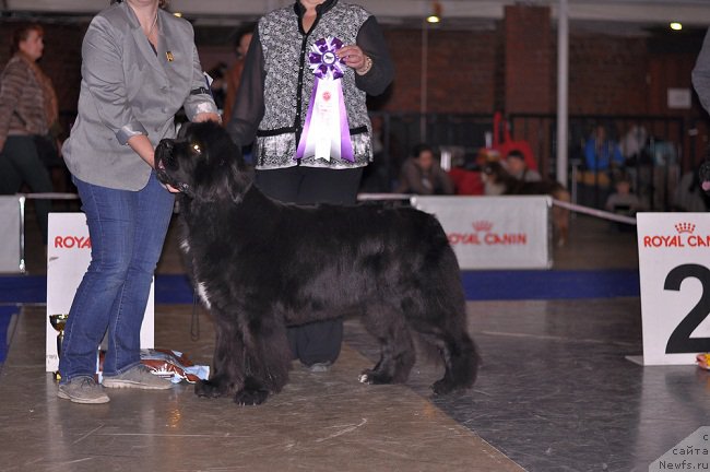 Фотография № 195305