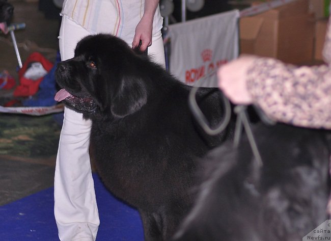 Фотография № 195307