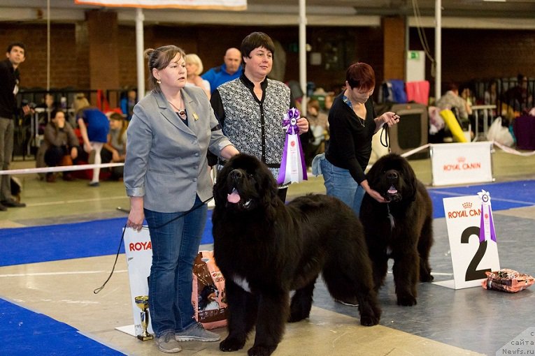 Фотография № 195312