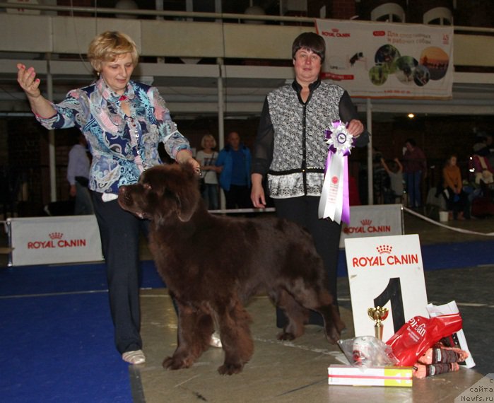 Фотография № 195318