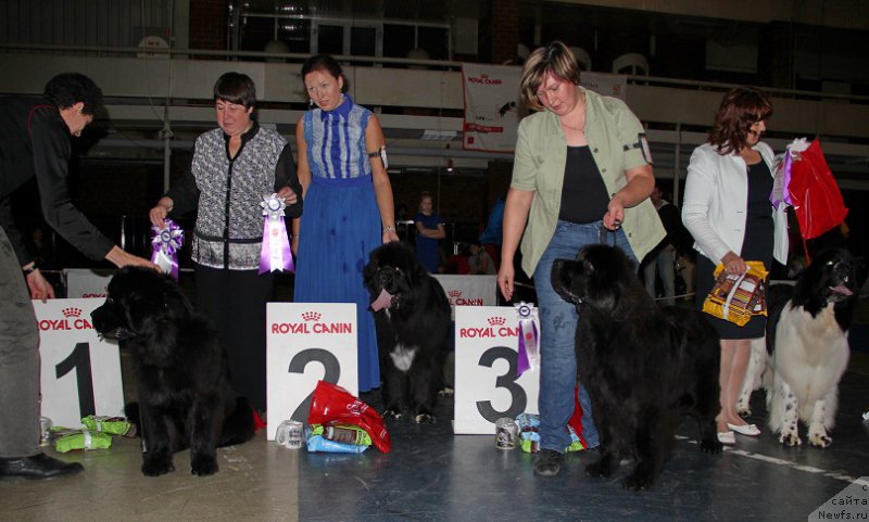 Фотография № 195319