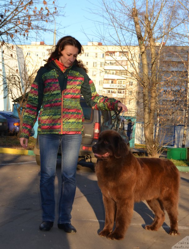 Фотография № 195322