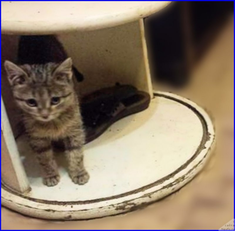 Фото: Lena Zyirina (Лена Зырина)