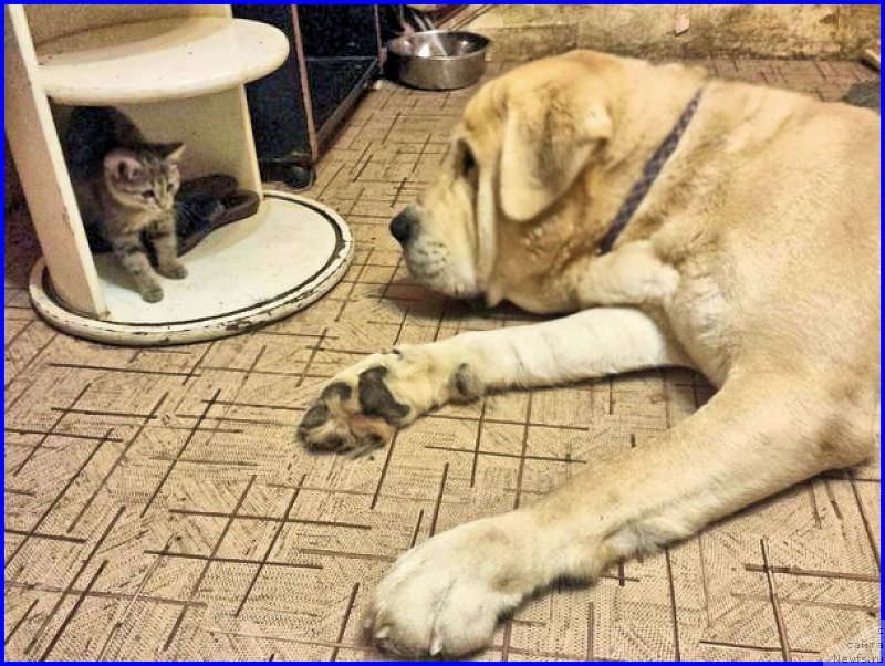 Фото: Lena Zyirina (Лена Зырина)