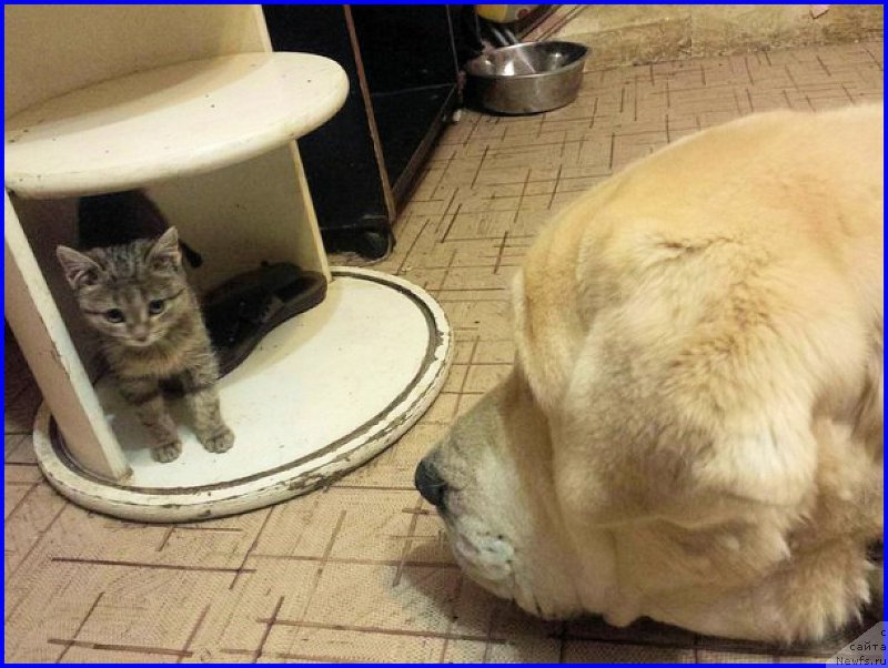 Фото: Lena Zyirina (Лена Зырина)