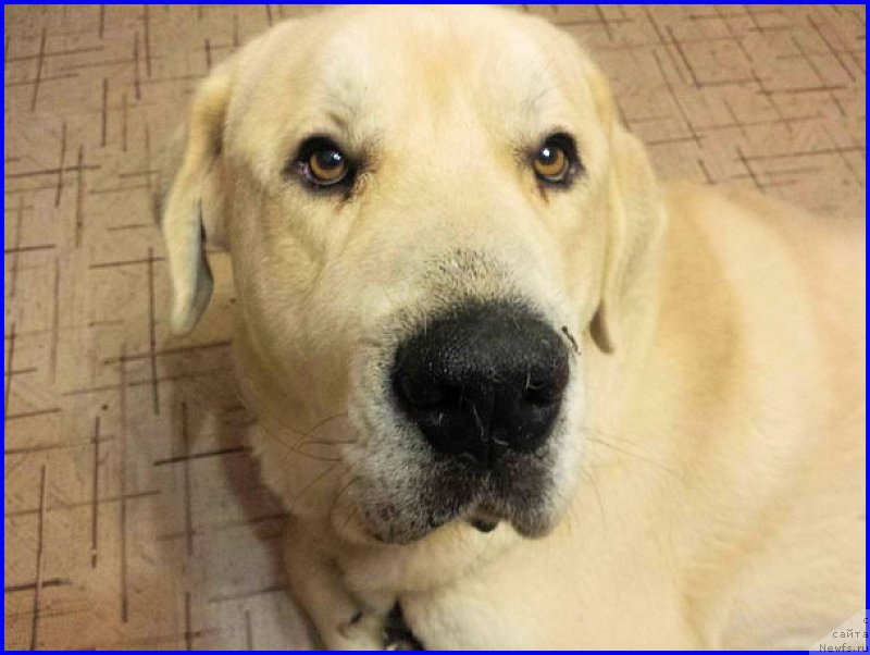 Фото: Lena Zyirina (Лена Зырина)