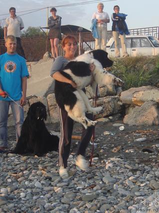 Фотография № 19537