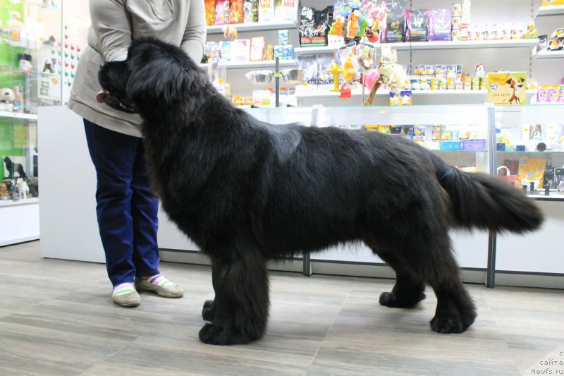 Фотография № 195389