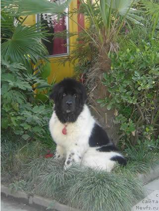 Фотография № 19542