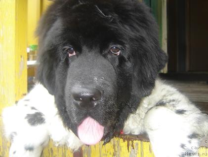 Фотография № 19543