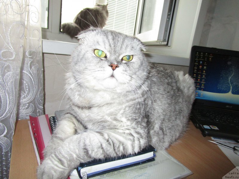 Фото: Svetlana Frolova (Светлана Фролова)