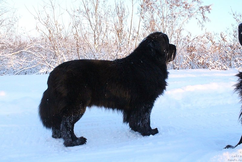 Фотография № 195528