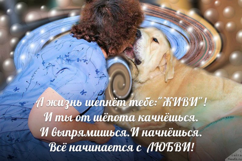 Фото: Elena SHmeleva (Елена Шмелева), Lena Zyirina (Лена Зырина)