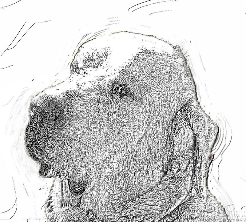 Фото: Lena Zyirina (Лена Зырина)