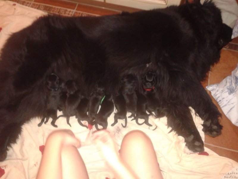 Фото: Elena Zurahova (Елена Зурахова)