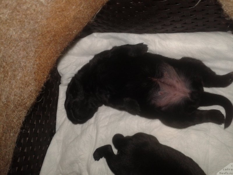 Фото: Elena Zurahova (Елена Зурахова)