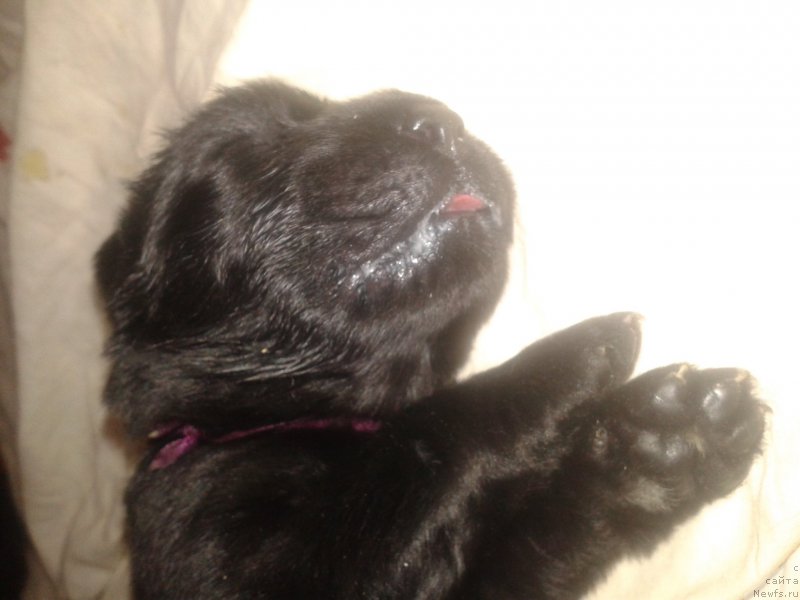 Фото: Elena Zurahova (Елена Зурахова)