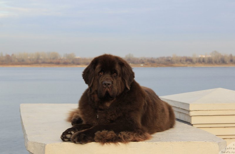 Фотография № 195647