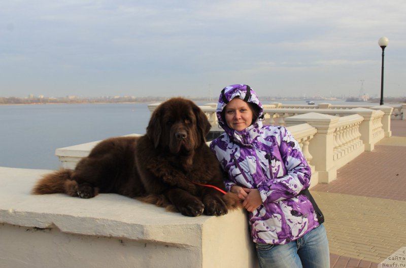 Фотография № 195649