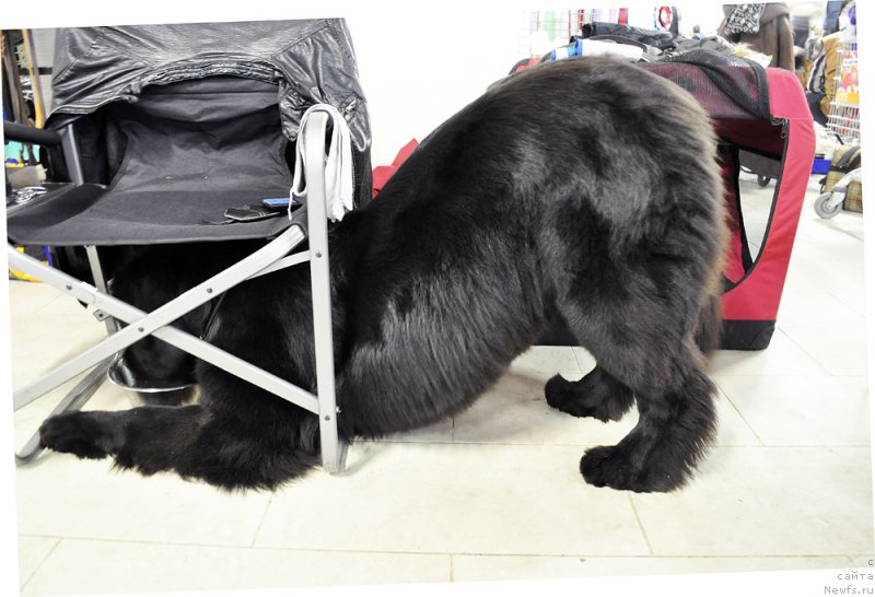 Фотография № 195657