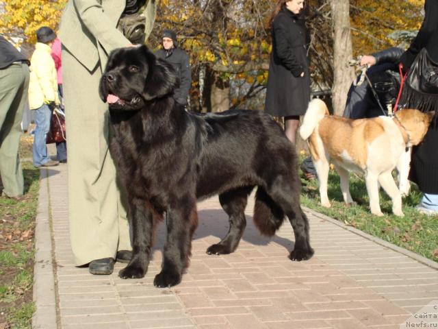 Фотография № 19568