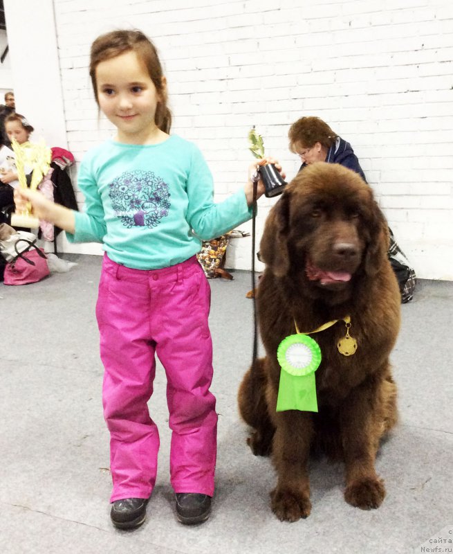 Фотография № 195682