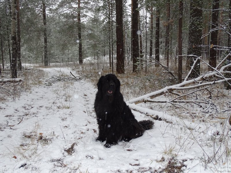 Фотография № 195701