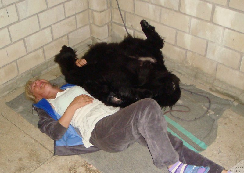 Фотография № 195727