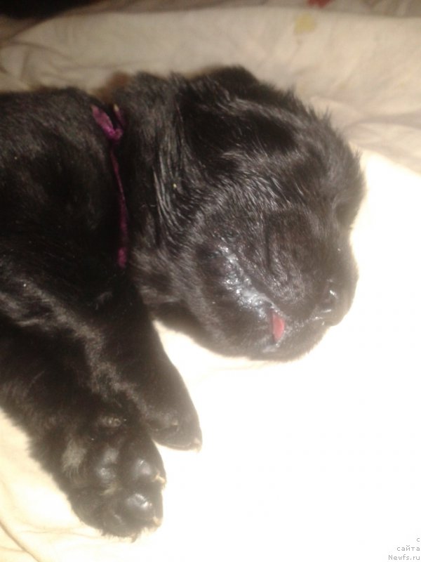 Фото: Elena Zurahova (Елена Зурахова)