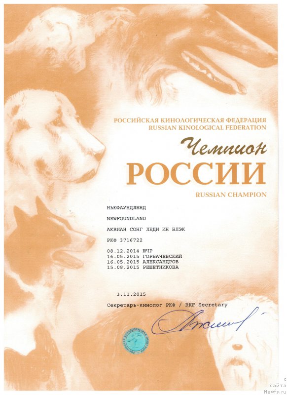 Фото: ньюфаундленд Akvian Song Ledi In Blyek (Аквиан Сонг Леди Ин Блэк)