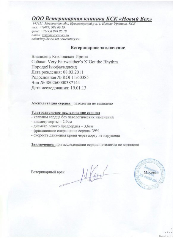 Фото: ньюфаундленд Very Fairweathers X'Got The Rhythm