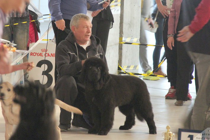 Фотография № 195936