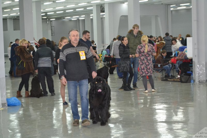 Фотография № 195947