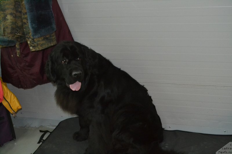 Фотография № 195948