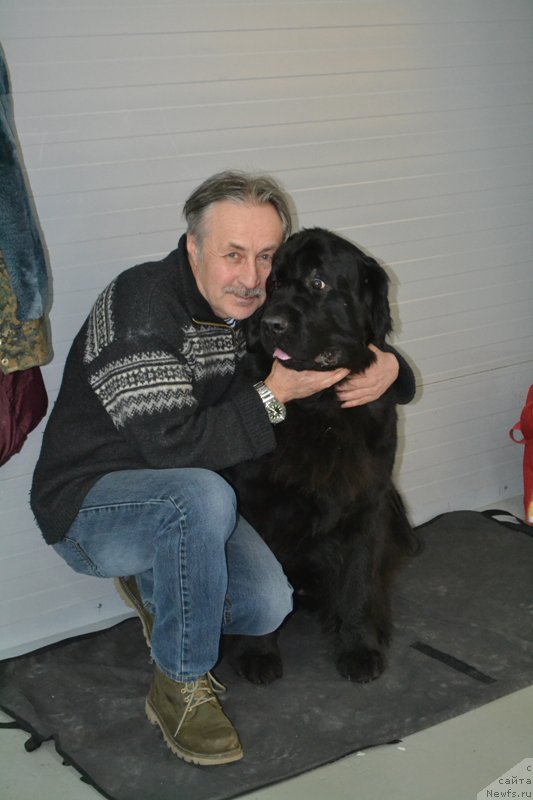 Фотография № 195950