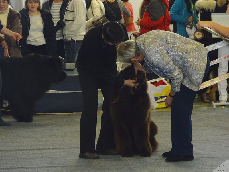 Фотография № 195954