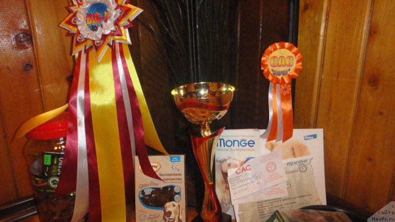 Фотография № 195963