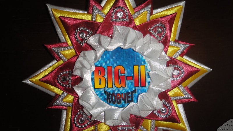 Фотография № 195964