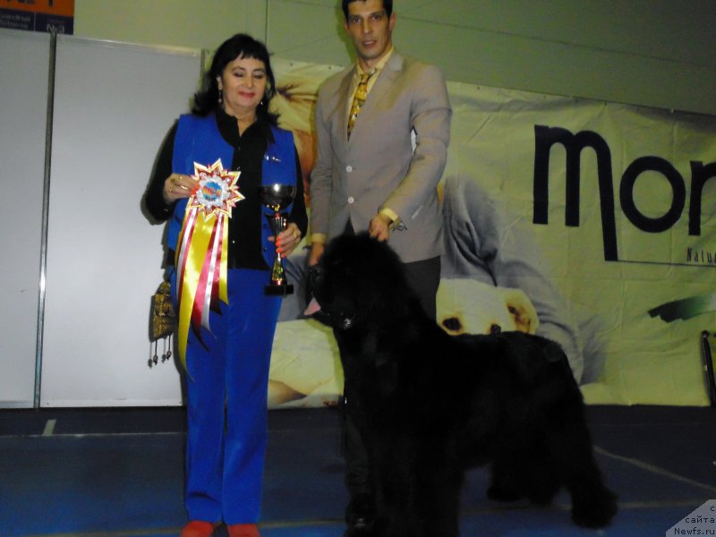 Фотография № 195966