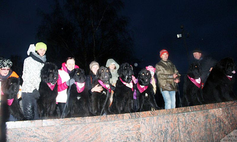 Фотография № 195973