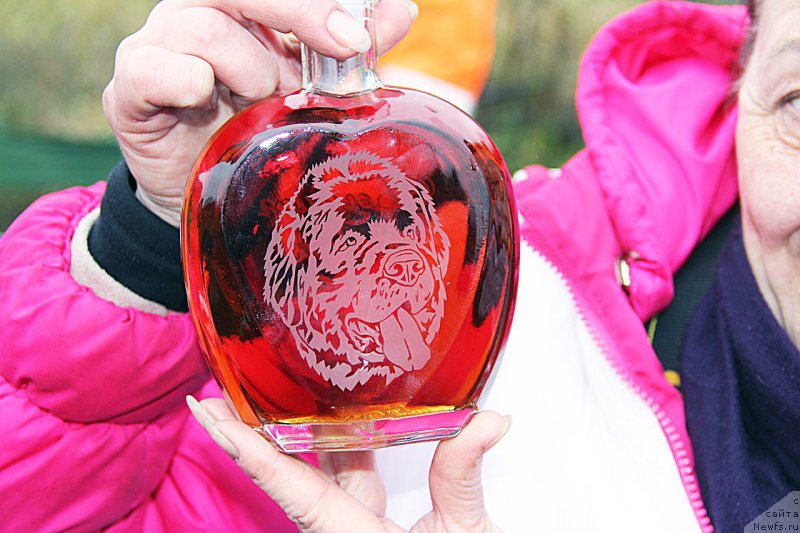 Фотография № 195976