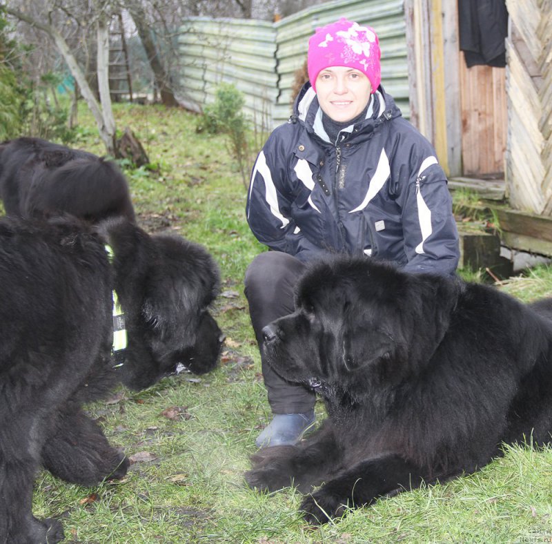 Фотография № 195997