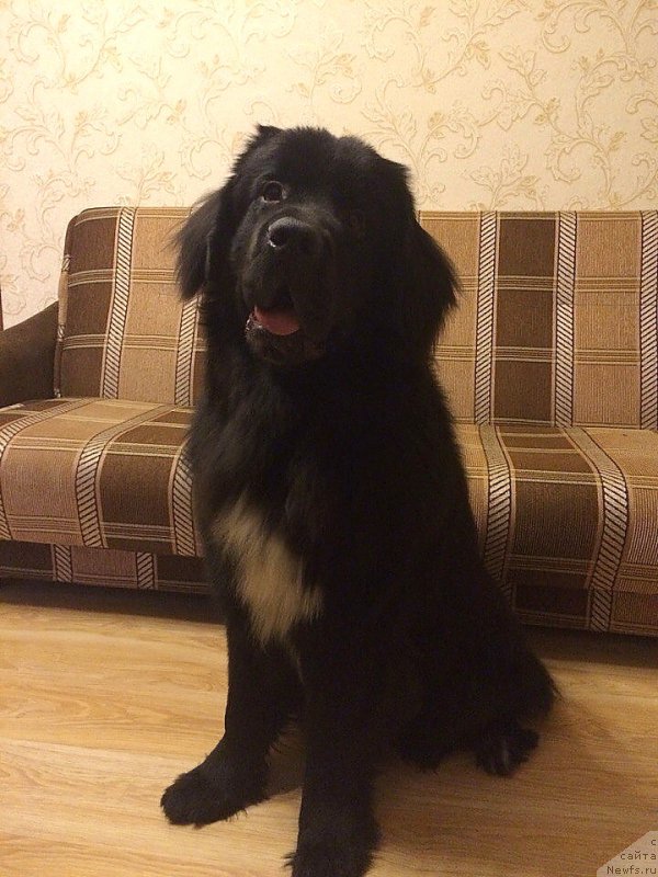 Фотография № 195999