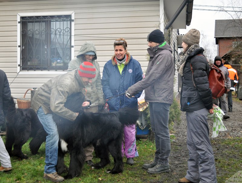 Фотография № 196015