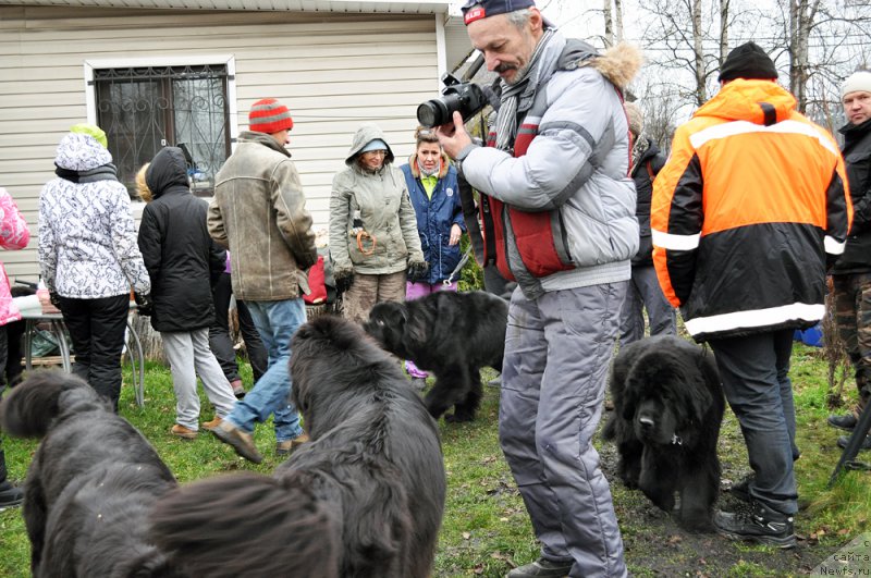 Фотография № 196016